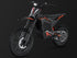 Electric Dirt Bike