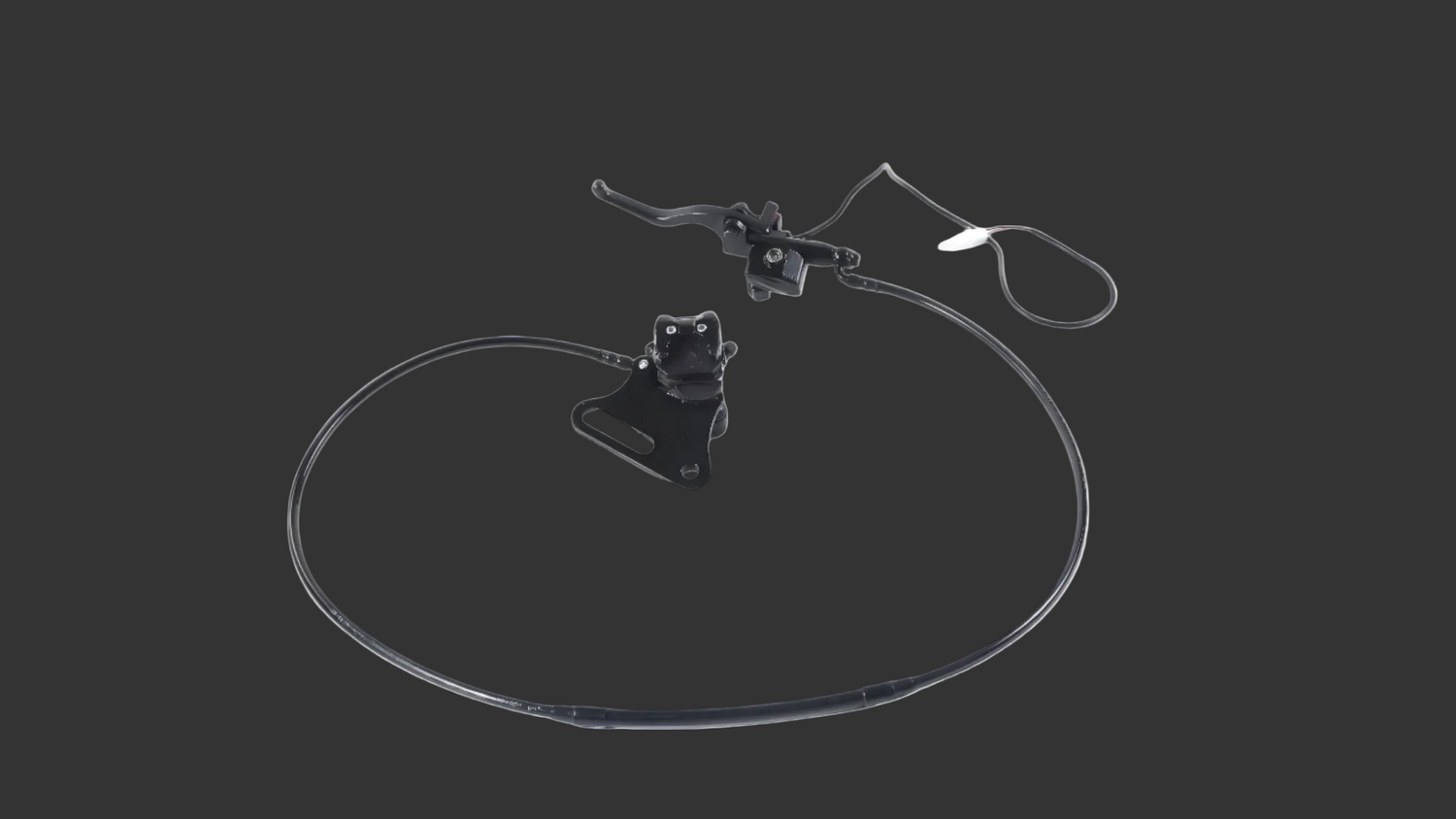 XE100 Rear Disc Brake